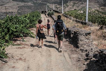 Douro Valley hiking tour
